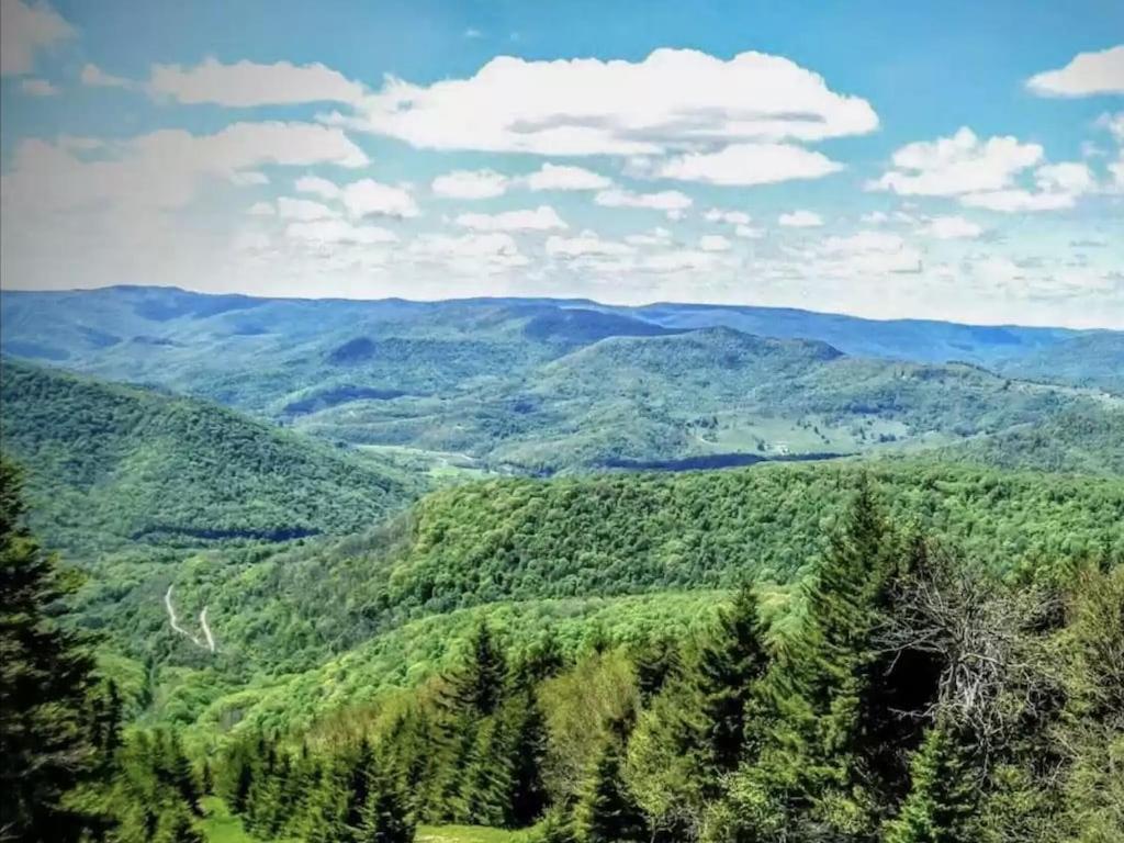 Enjoy The Long Range View, Ski In N Out Top Of The Mountain Condo Snowshoe Exteriör bild